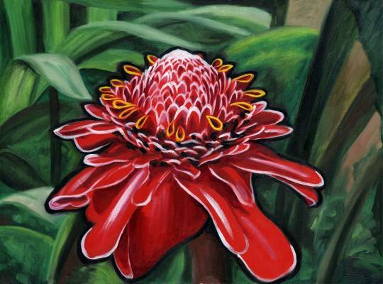 Torch Lily ,  2007 ,  oil on board .  web